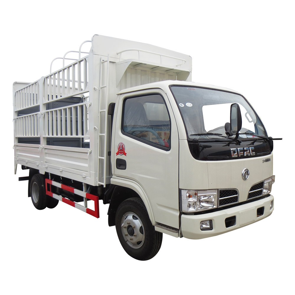 Cargo Truck